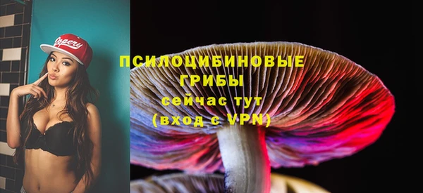 гидропоника Алексин